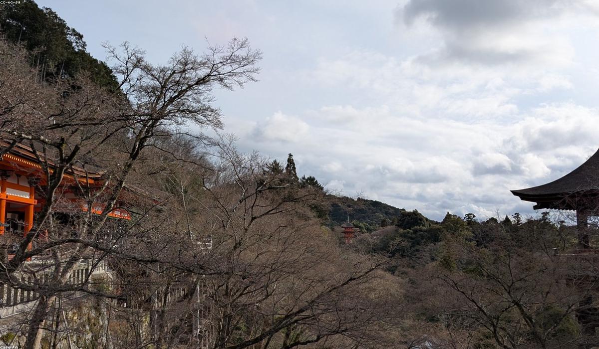 緑豊かな丘に建つ日本の寺院と塔